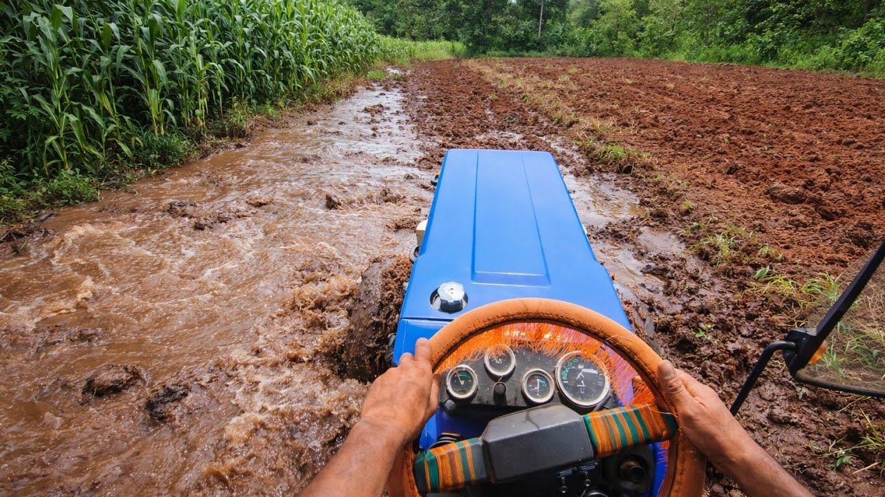 Swaraj Tractor Field Working POV ASMR 4K | Real Farming Experience 🚜🌾
