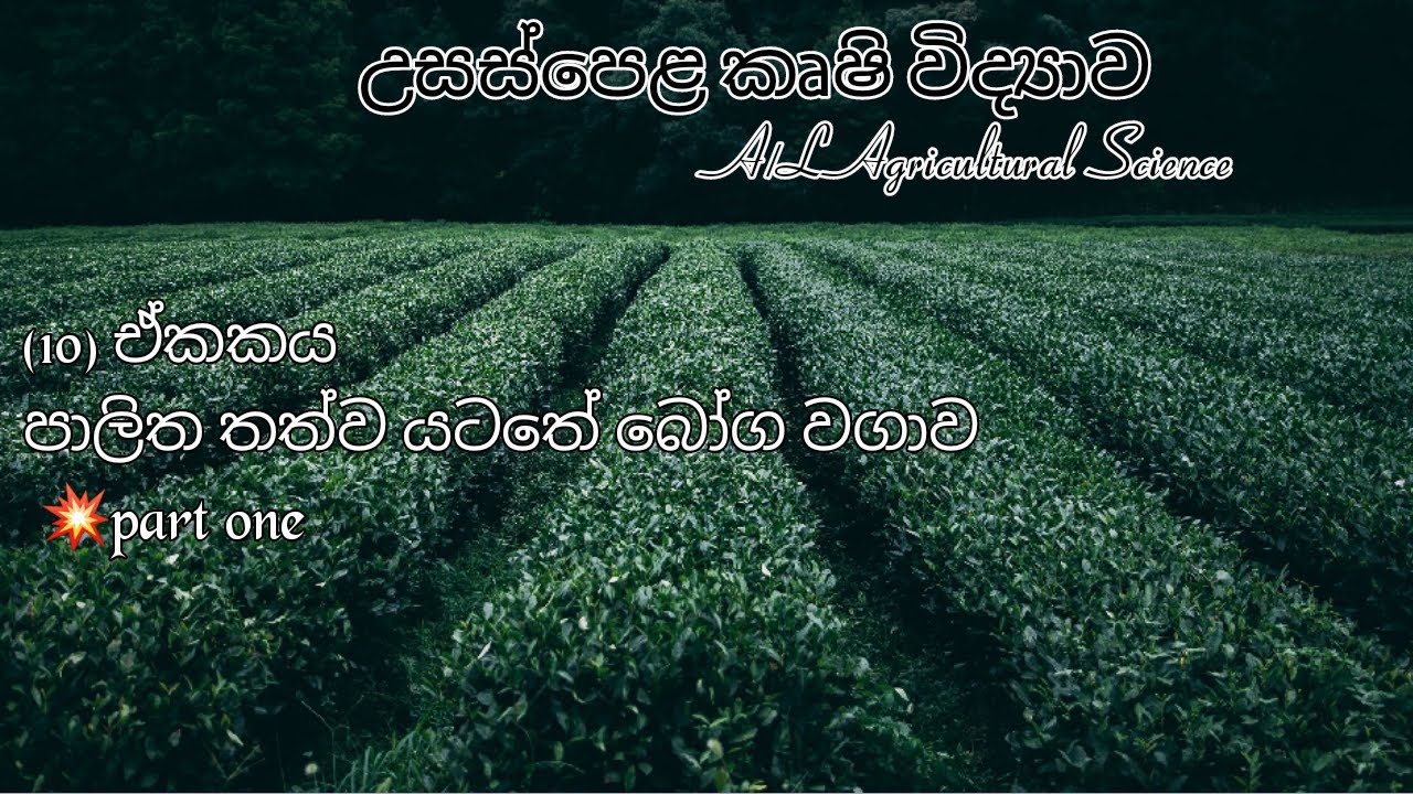 (10)පාලිත තත්ව යටතේ  බෝග වගාව, උසස් පෙළ කෘෂි විද්යාව,PART-1, **FOR A/L STUDENTS**