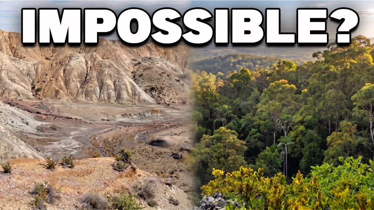 Как Испания превращает свои пустыни в сельскохозяйственные оазисы — проект «Озеленение пустыни»