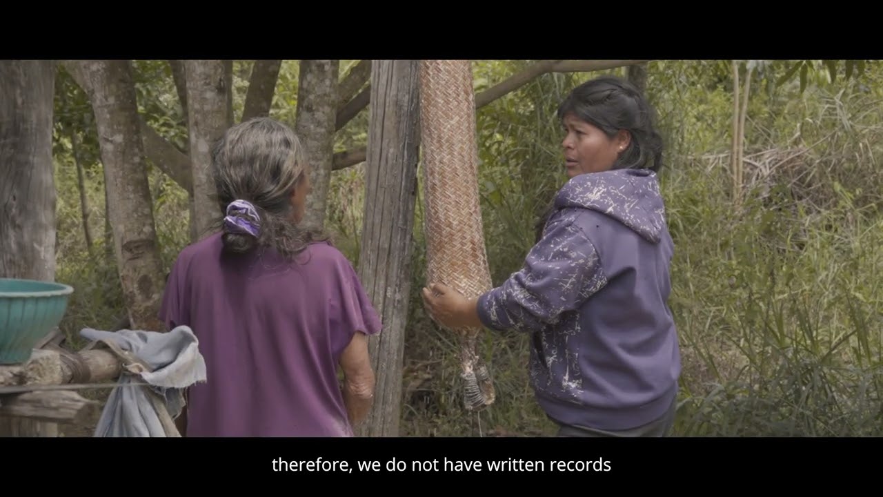 Indigenous Peoples' traditional knowledge of fire in the Guiana Shield