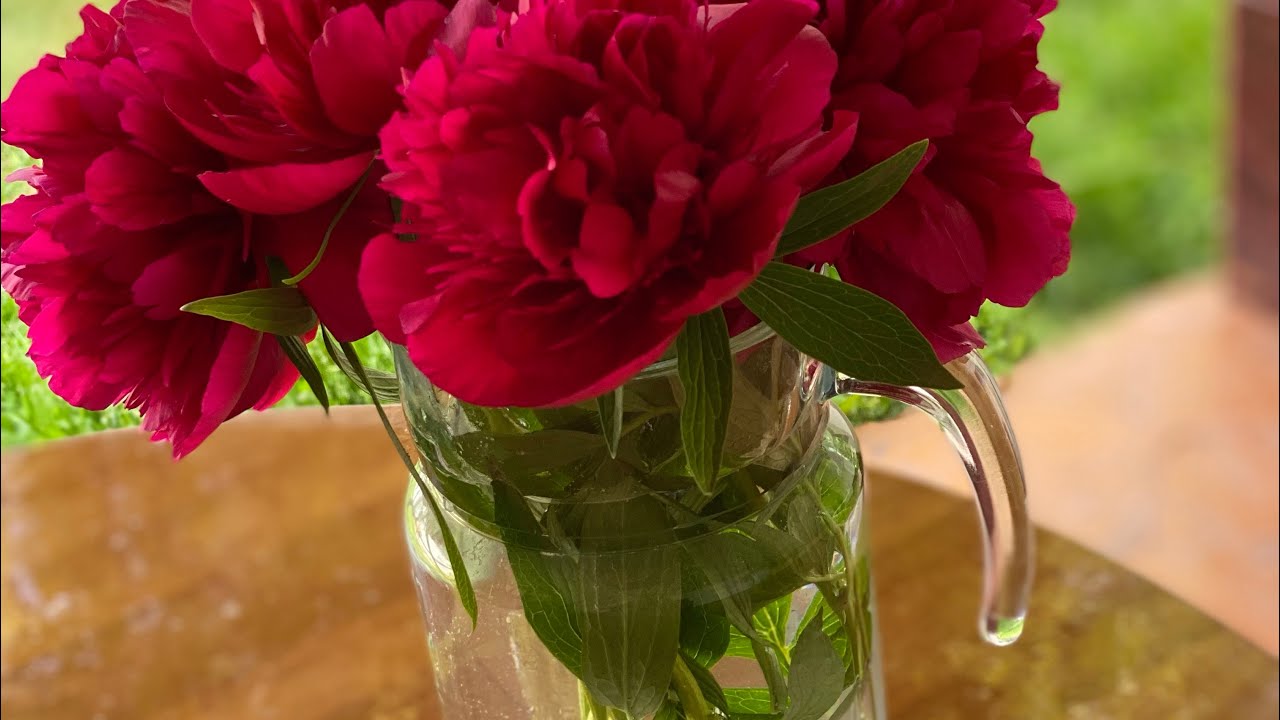 ‼️‼️‼️Кийса ты лентяйка‼️Всё делает твоя дочь Анжела ‼️А чем ты вообще занимаешься  ❓❓😡😡🤷‍♀️🤷‍♀️