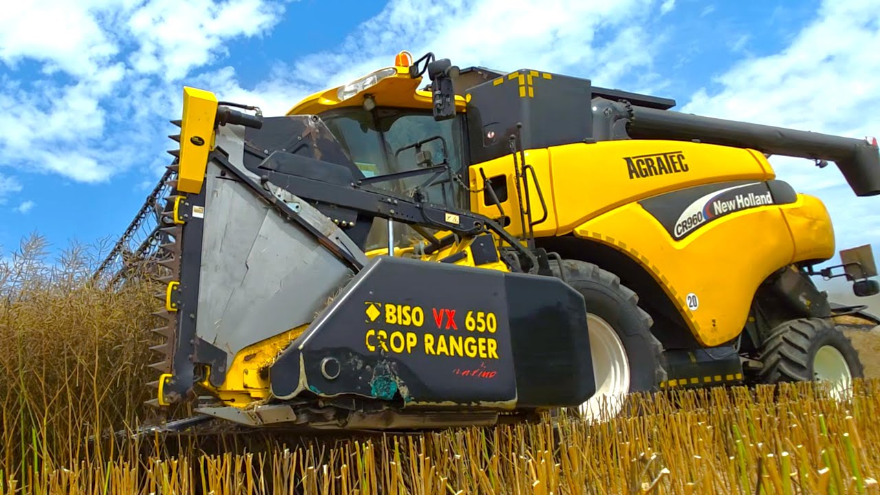 Raps dreschen 2025 mit New Holland CR 960 AGRATEC Mähdrescher in Bayern