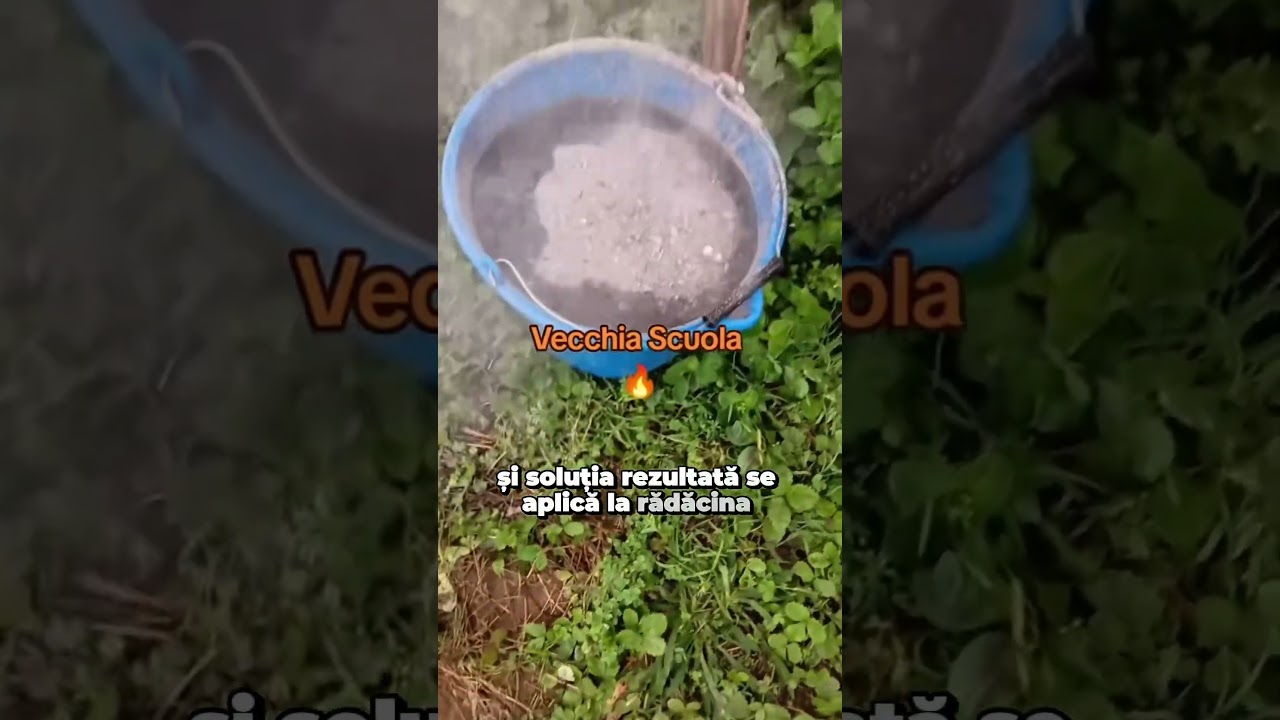 Metoda de fertilizare👍