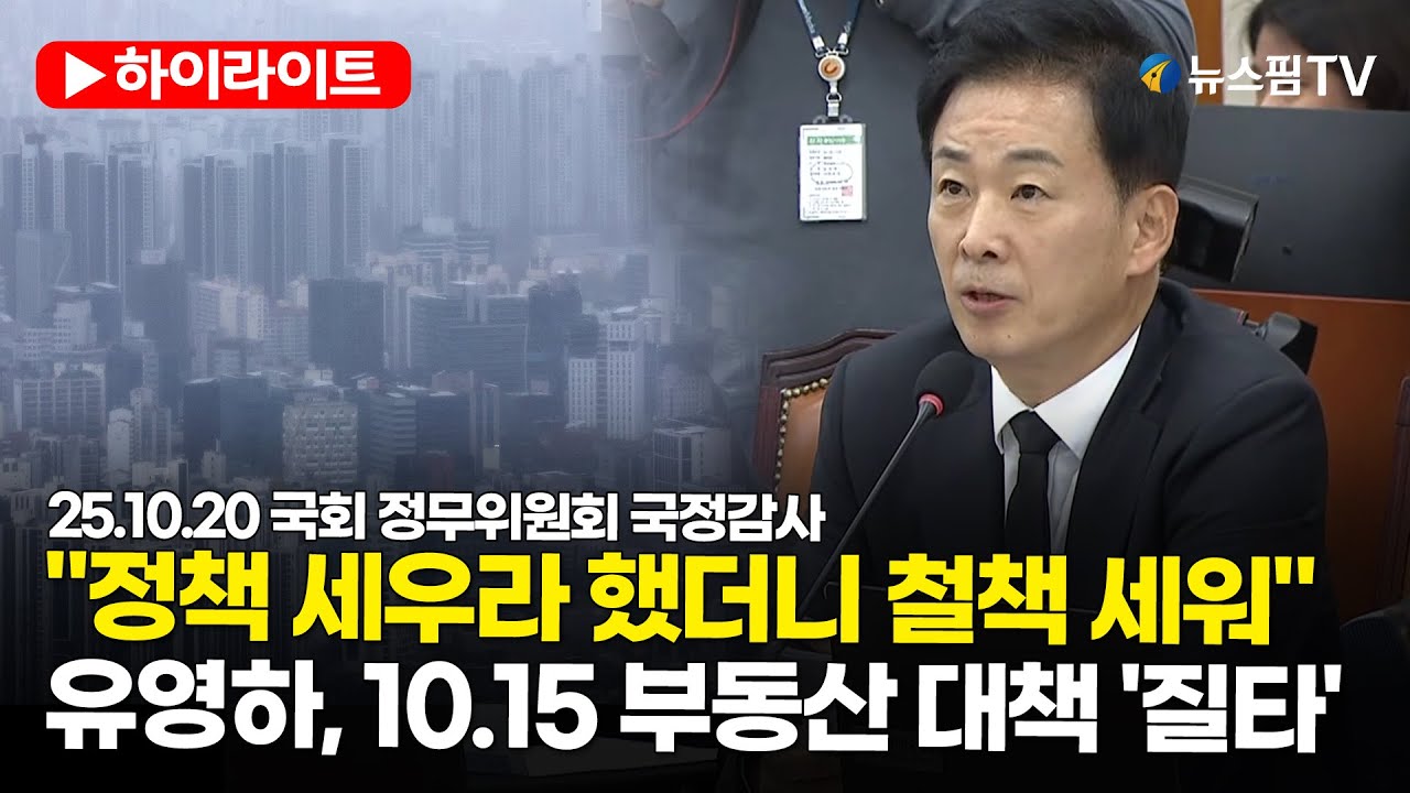 [스팟Live] 