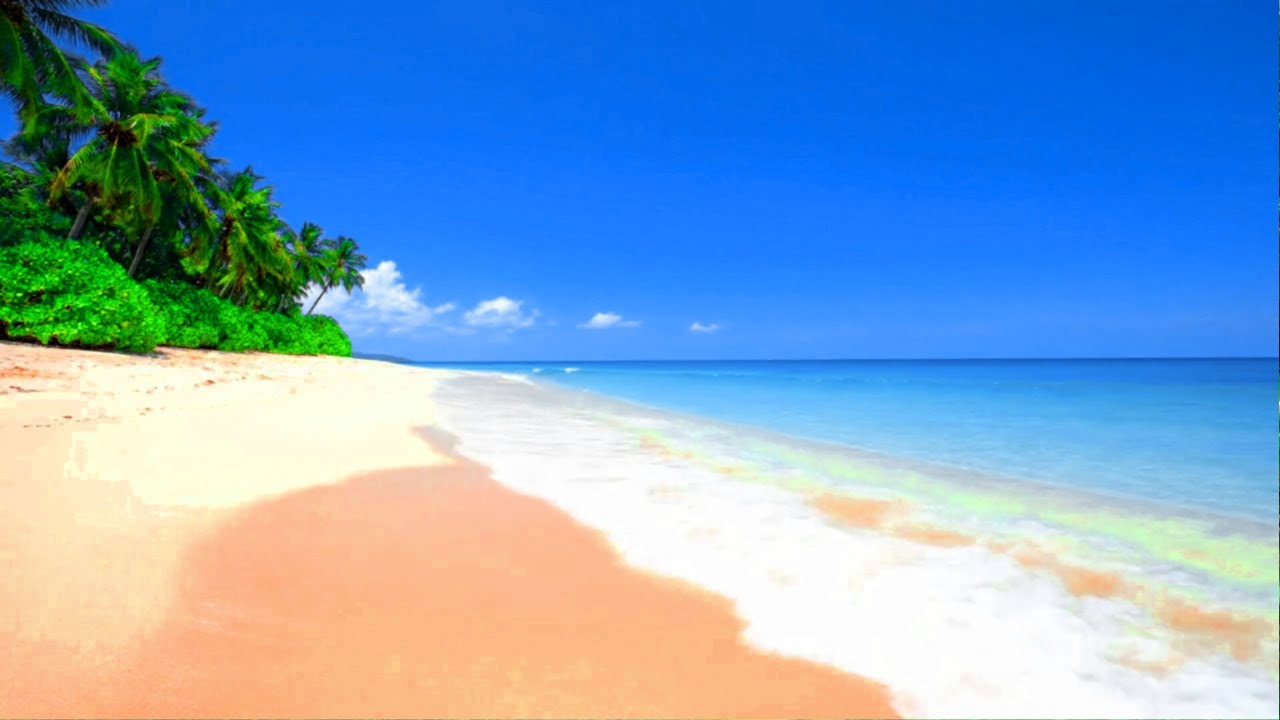4k UHD Tropical Beach & Palm Trees on a Island, Ocean Sounds, Ocean Waves 🌊🌴