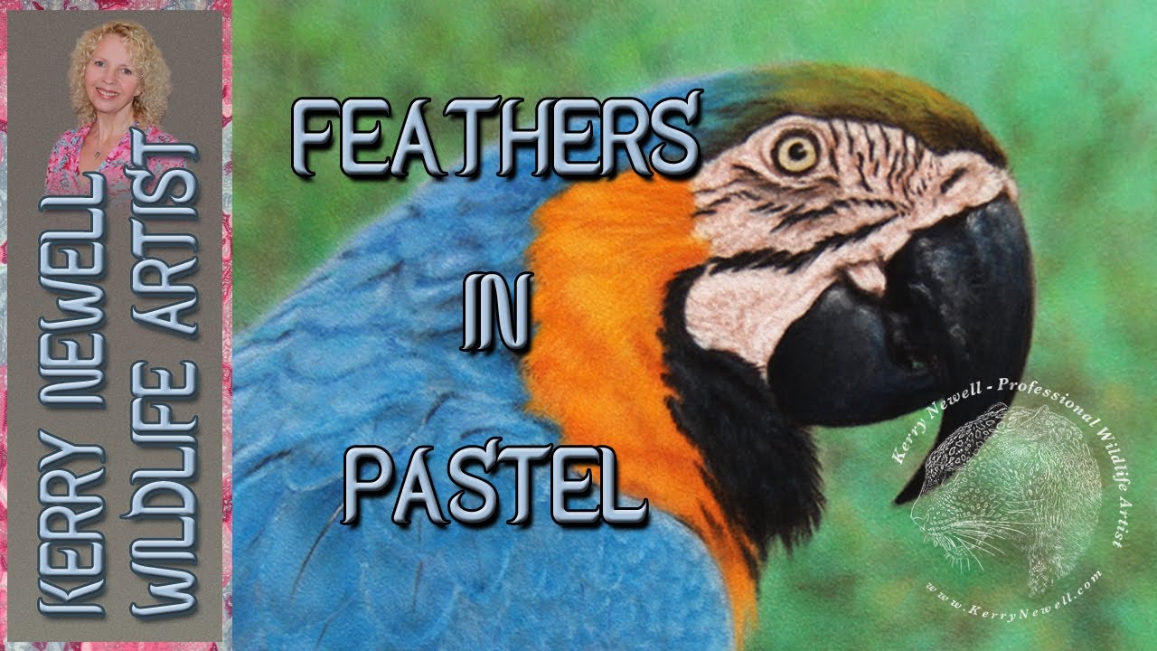 FEATHERS - PASTEL ON VELOUR