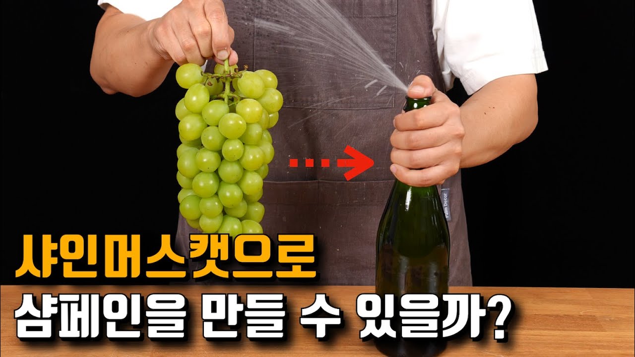 샤인머스캣으로 샴페인을 따라 해봤습니다