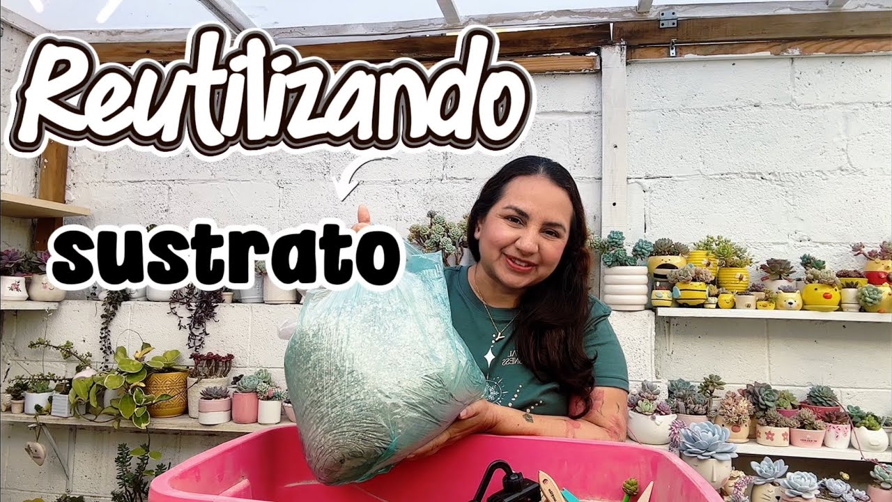 Dándole una segunda oportunidad Nutriendo nuestro sustrato 