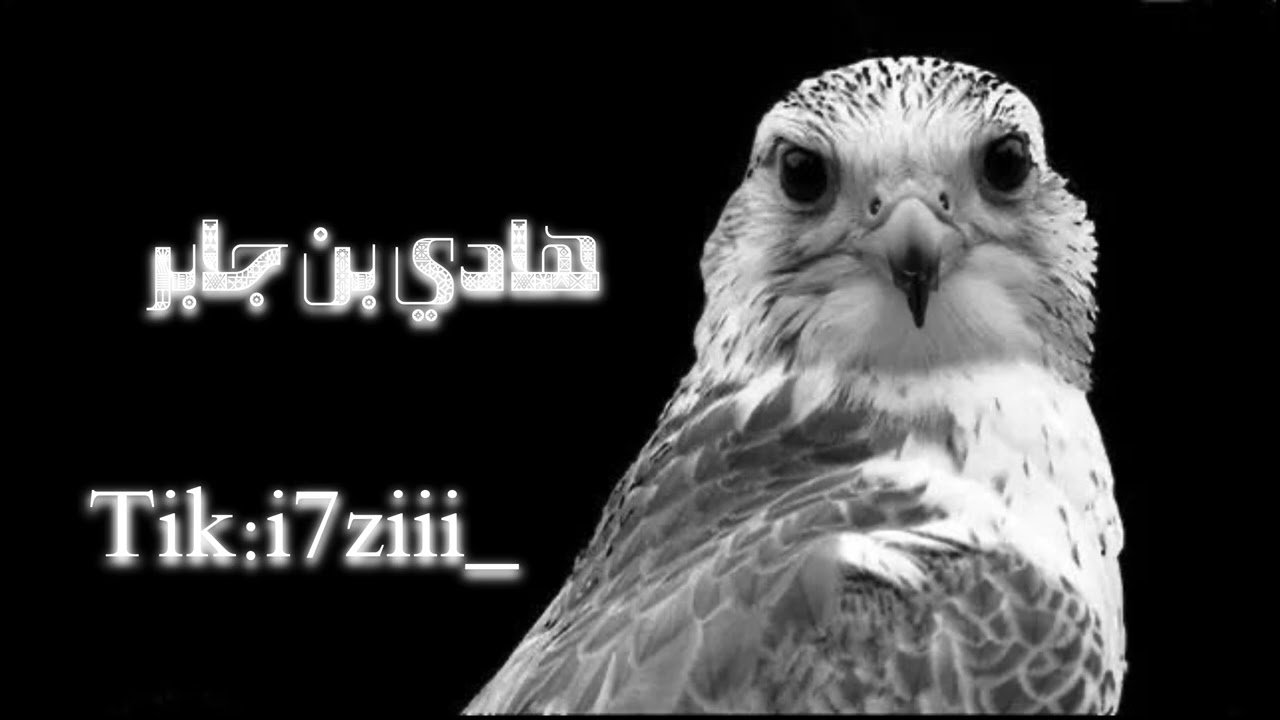 ياهل الولع - هادي بن جابر 