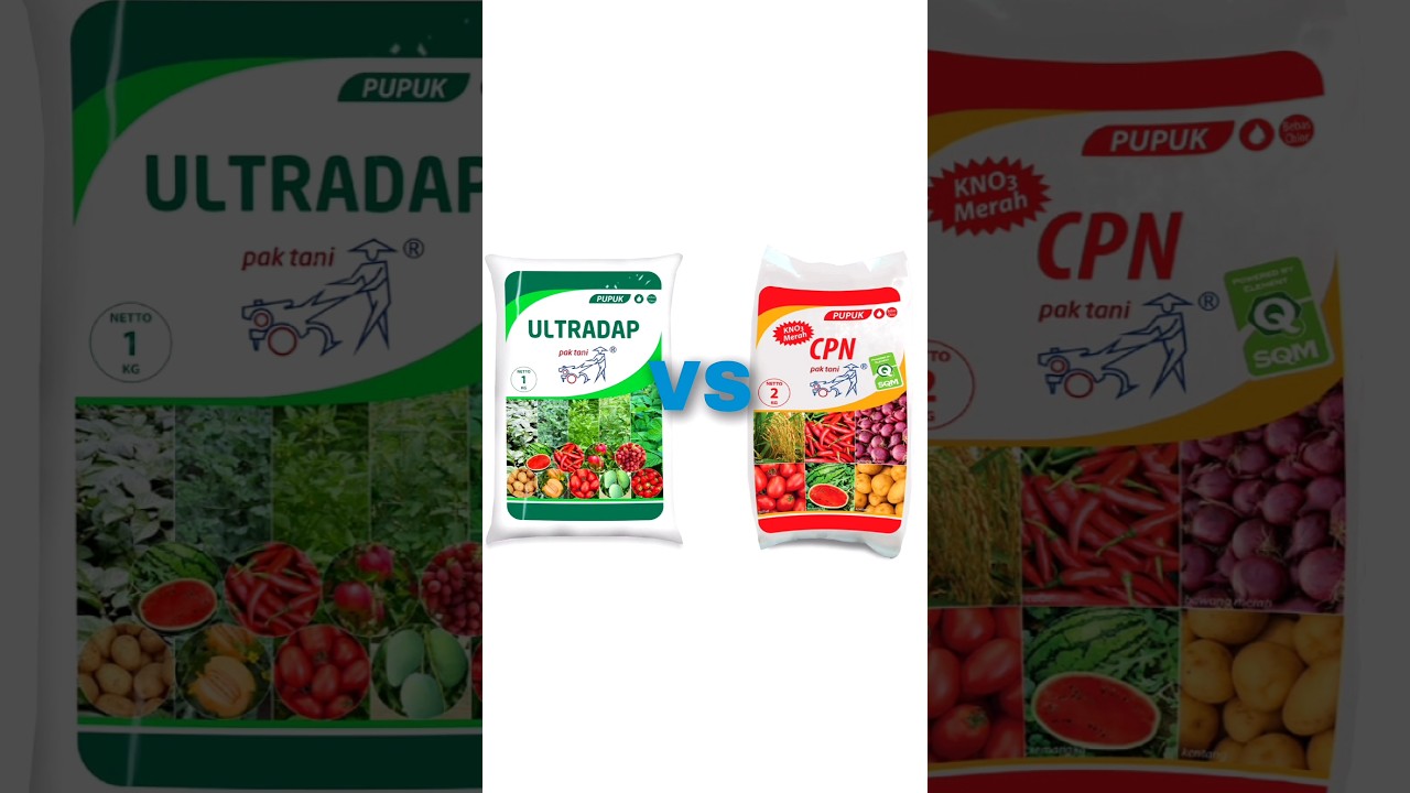 Ultradap vs kno3 merah lebih bagus mana?