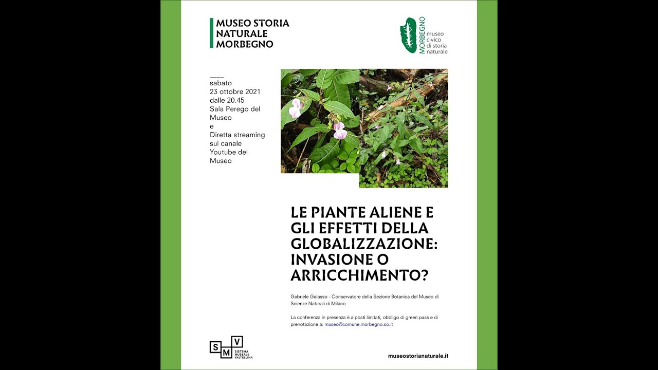 Le piante aliene e gli effetti della globalizzazione: invasione o arricchimento?