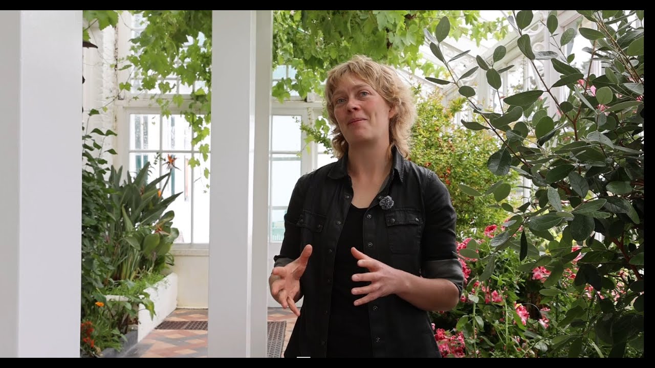 Виноградарь из Хэмптон-Корта консультирует по вопросам выращивания винограда на самой южной виног...