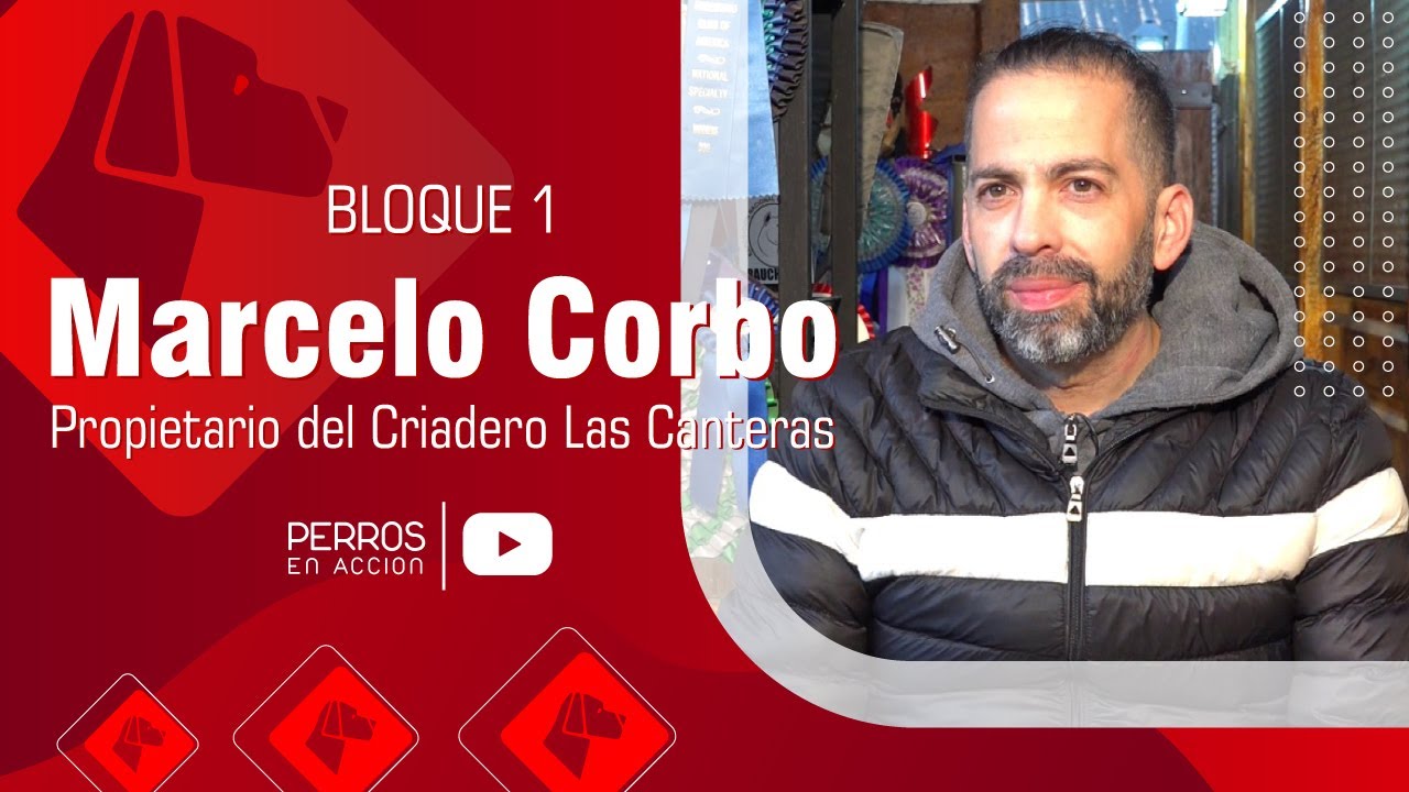 “Perros en acción”  Programa Nº 426 Bloque 1