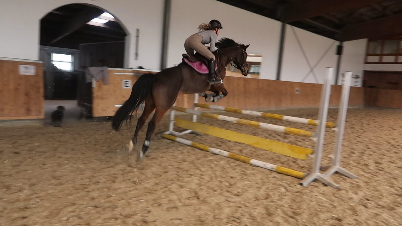 [FMA] Paola das Springtalent? 🤔😍 | Marina und die Ponys