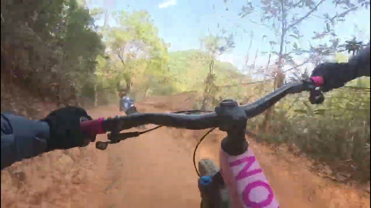 20-02-2026 泉林 藍 光