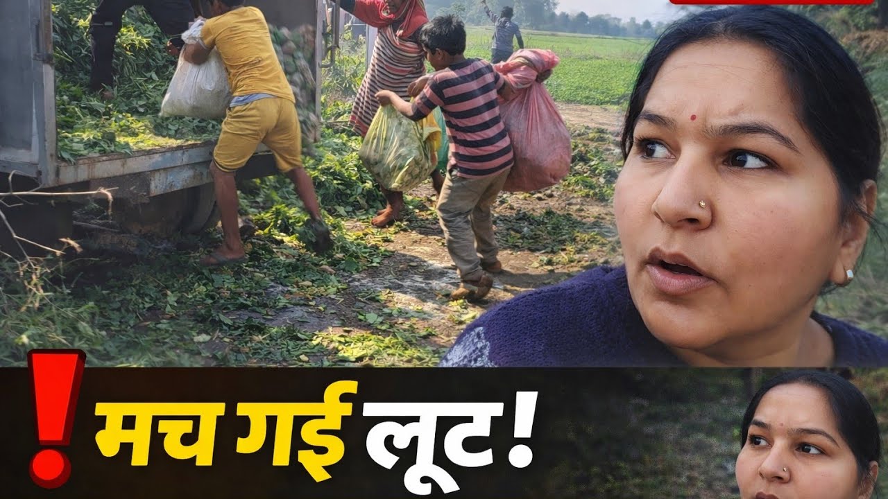 🫣आज तो लूट मच गई ll Uk04kudisoni llvillagelife