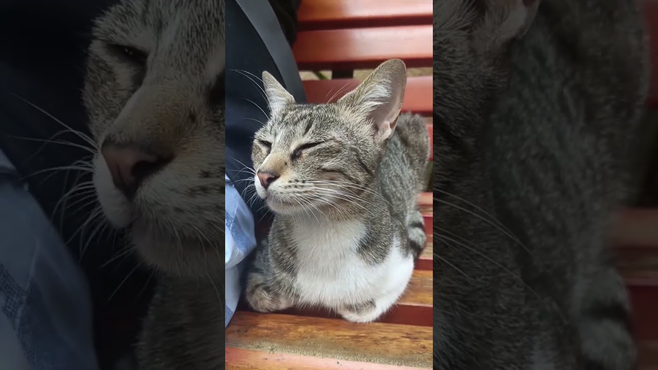 MEET SHEIKA | DUBAI, UAE 