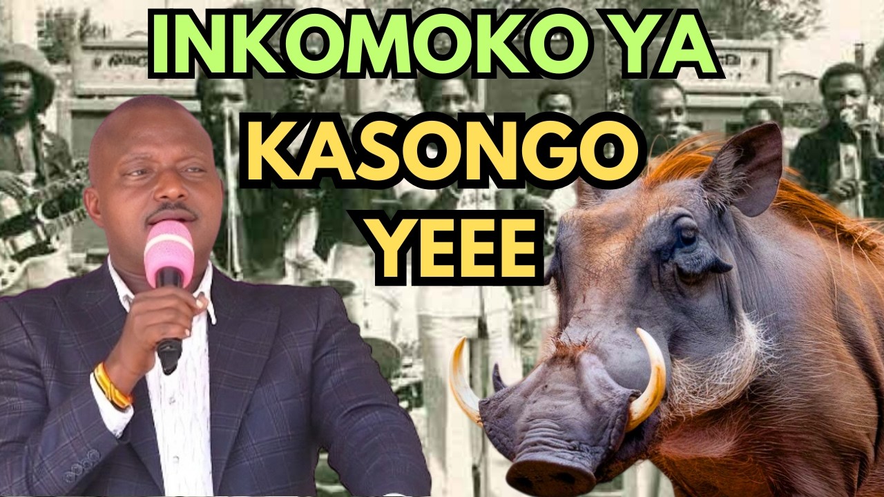 Menya ubuhanga bw' ISATURA mu guhangana n'inyamaswa z'inkazi. KASONGO: ni gute yamamaye cyane?