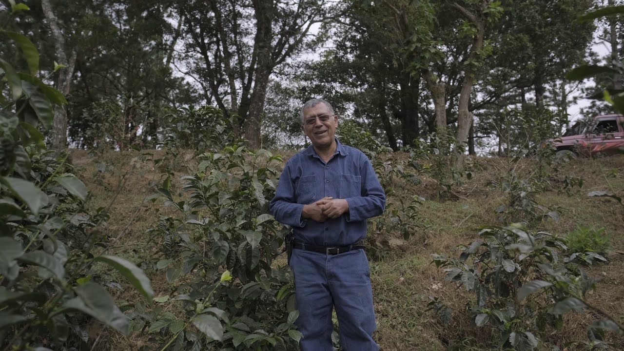 Alfonso Pineda - El Izotal, Producing Coffee In The Highlands of El Salvador