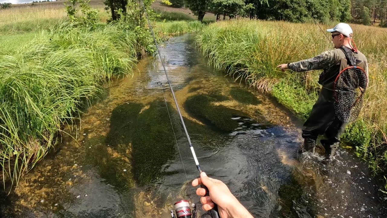Zakończenie sezonu PSTRĄGOWEGO na ZAROŚNIETYM STRUMYKU