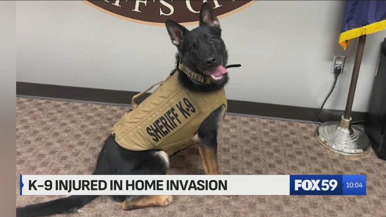 Morgan County deputies involved in shooting