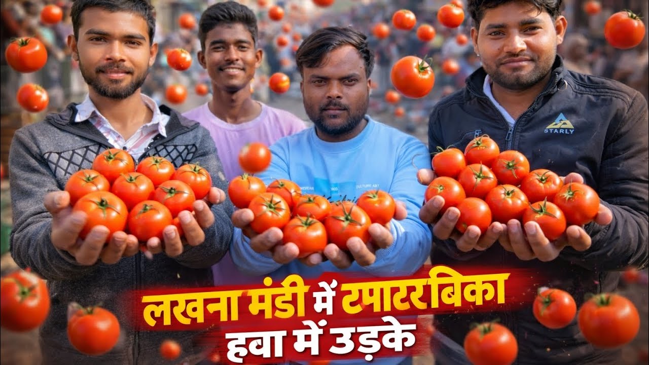 लखना मंडी में आज टमाटर बिका अच्छे दाम पर और उड़के बिका 🍅🙏🙏#farmingindia 