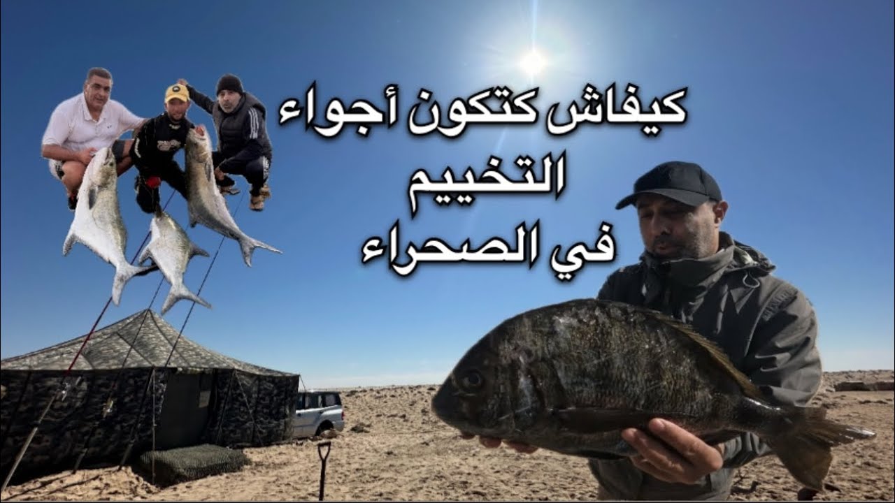 #شاهد ✅ يوم صيد رائع في صحراء 🇲🇦 المغرب🇲🇦 