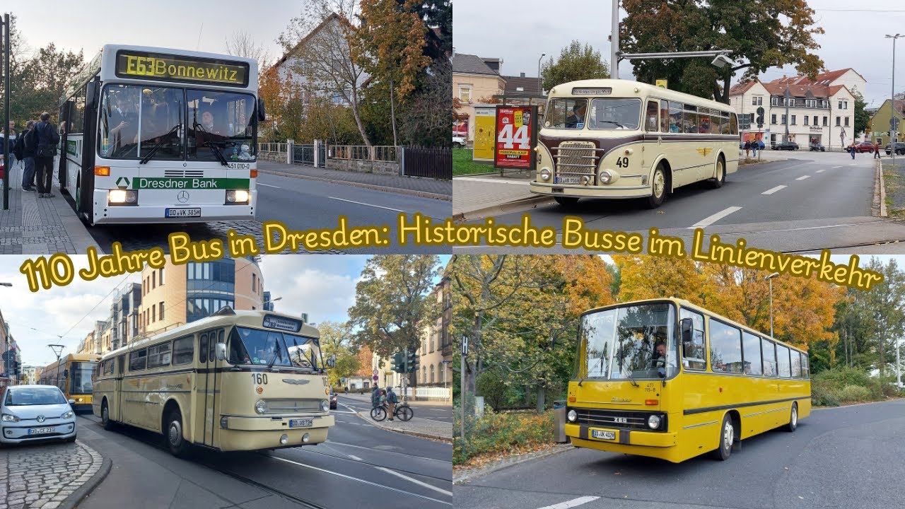 110 Jahre Bus in Dresden: Historische Busse im Linienverkehr