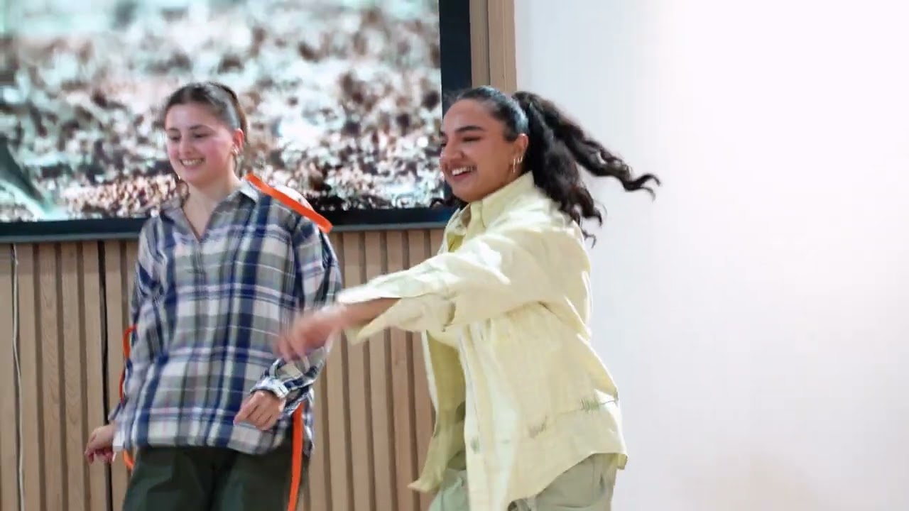 Climate Action and Accessibility by DanceAbility Azerbaijan at COP29