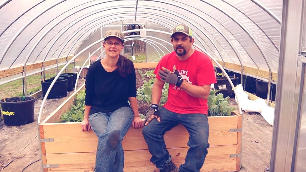 DOUBLE Your HARVEST With These SIMPLE Tips!