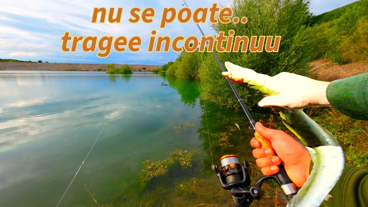 Nebunie de 'BALTA' aici chiar trage incontinuu...