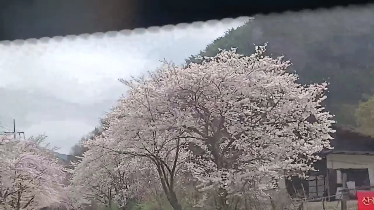 유친라이브 tv매일5시님의 라이브 방송