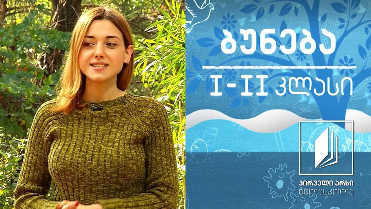 ბუნება, I-II კლასი - ვულკანები #ტელესკოლა