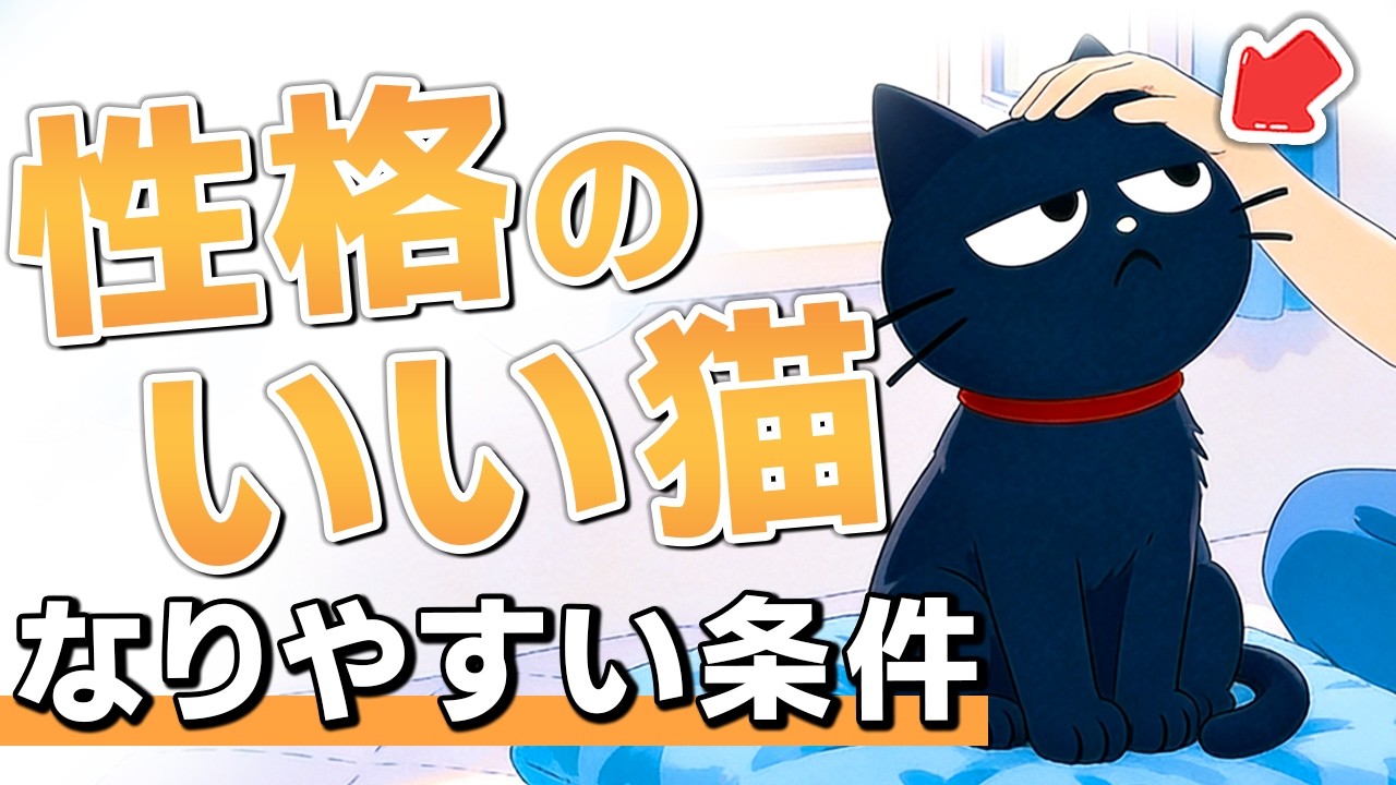 偶然じゃない！優しい猫に育つ条件7選【猫雑学】