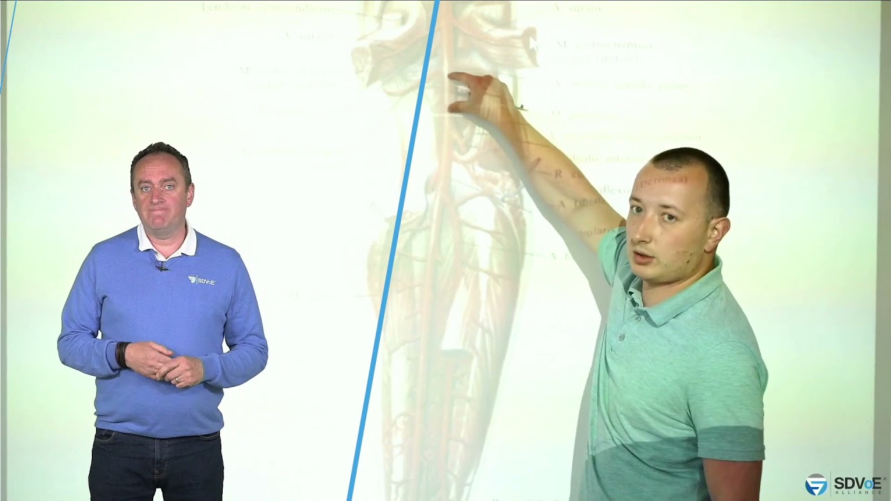 SDVoE LIVE! S1 Episode 13 Recap ft. Gary Kayye