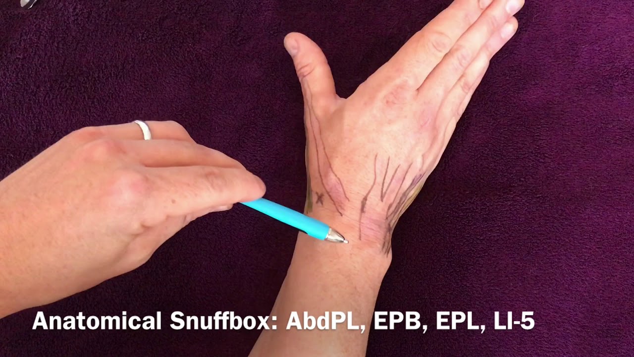 Locating acupuncture points on the wrist part 2: tendons