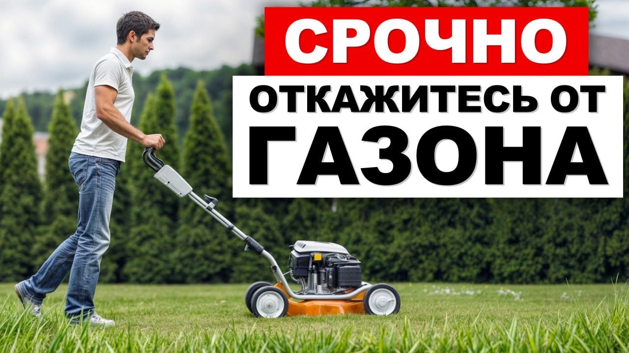 Газон на участке &mdash; это ОШИБКА? / Чем ЗАМЕНИТЬ газон на своём участке?