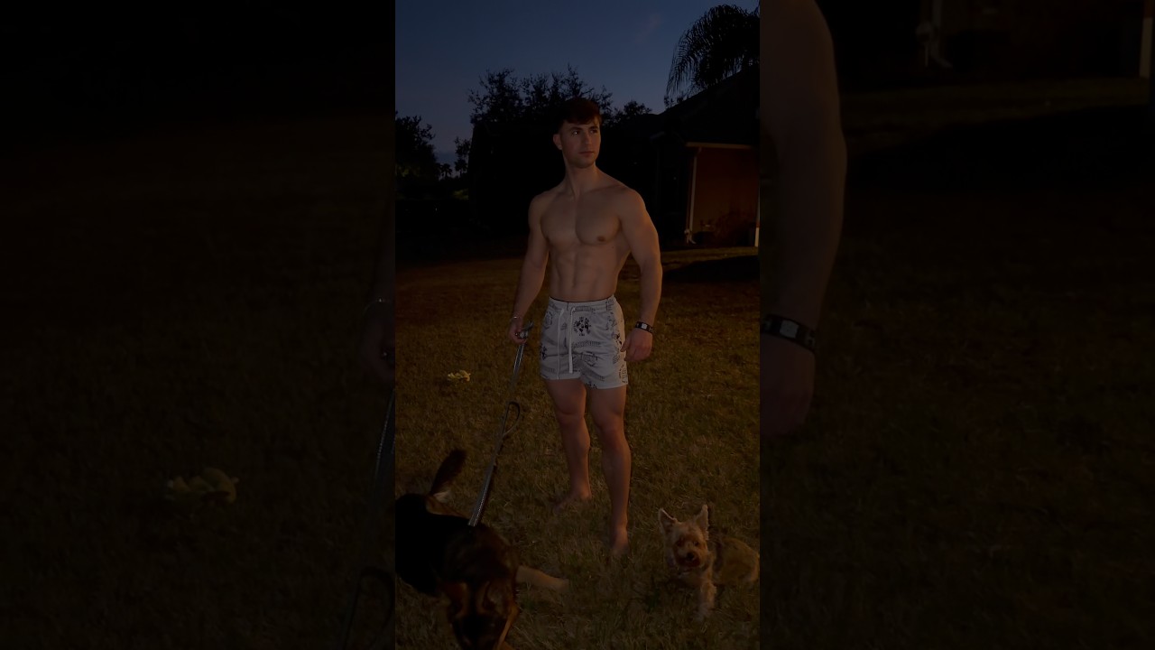 Professional Dog Walker