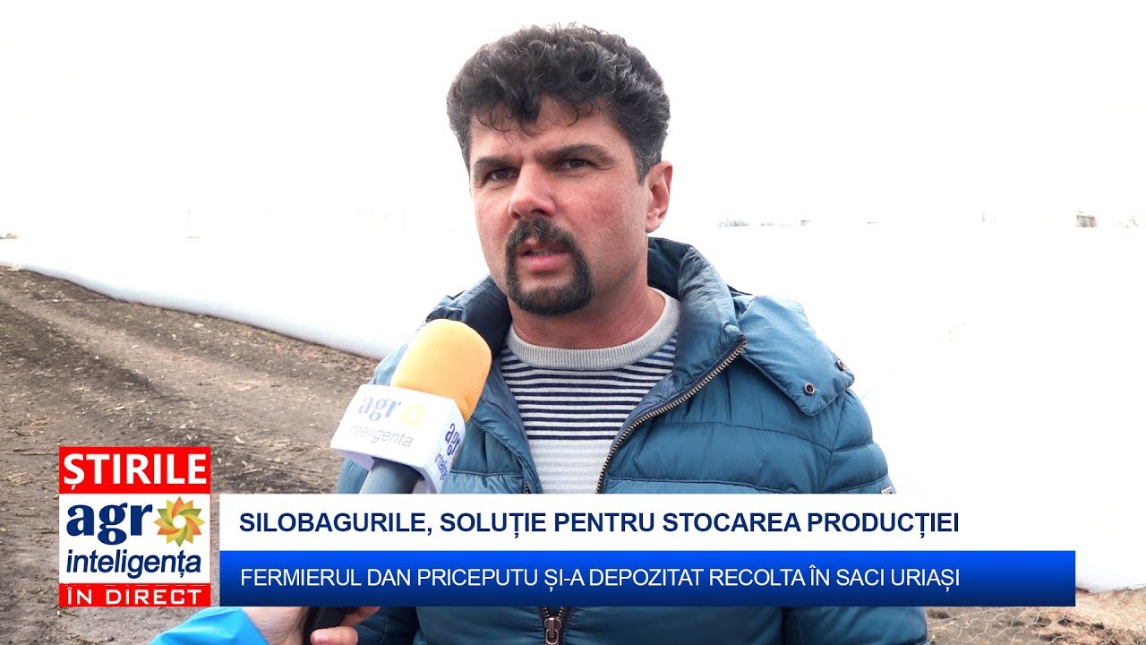 Fermierul Dan Priceputu și-a stocat porumbul în silo bag-uri