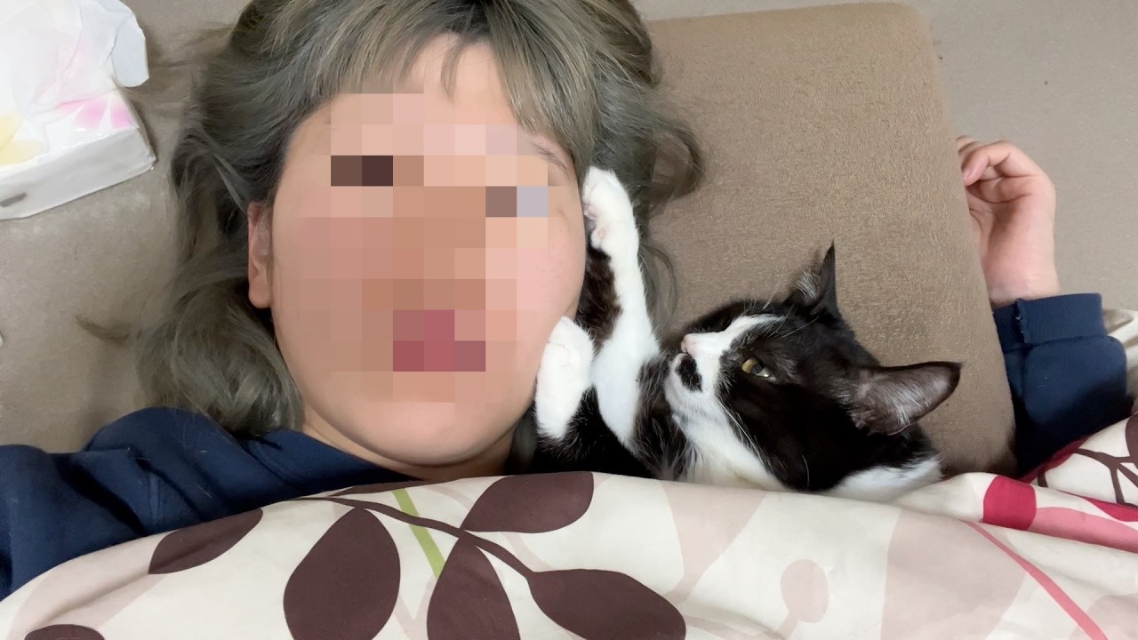 磁石みたいにくっついて離れない甘えん坊猫