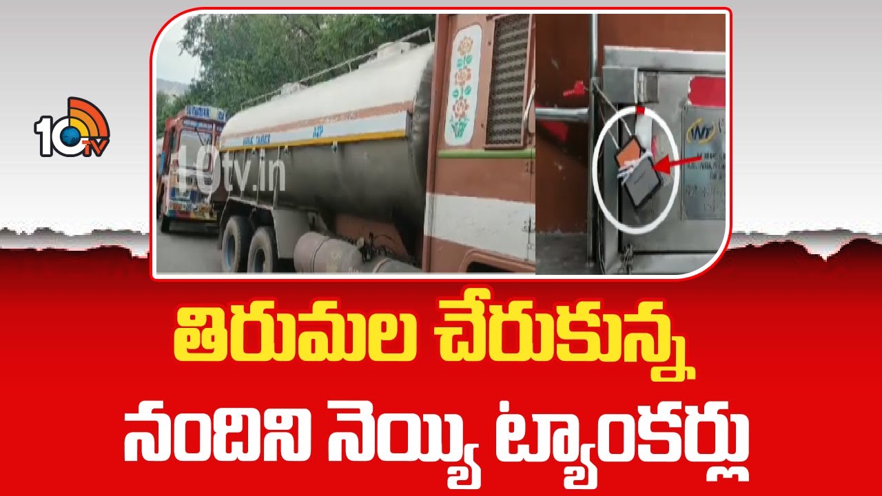 Nandini Ghee | Tirumala Laddu Issue | తిరుమల చేరుకున్న నందిని నెయ్యి ట్యాంకర్లు | 10TV News