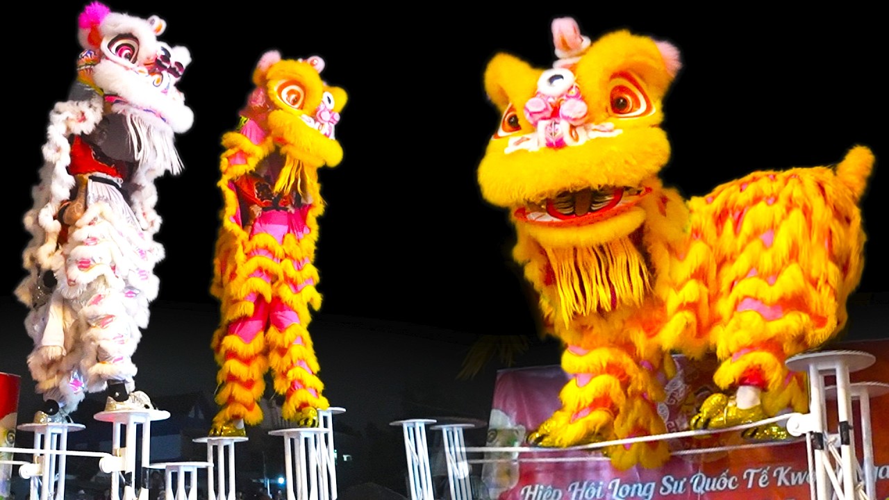 Múa Lân Hay Nhất 2026 Lân nhảy Mai Hoa Thung LSR Quang Nghệ biểu diễn lễ hội Rằm Tháng Giêng