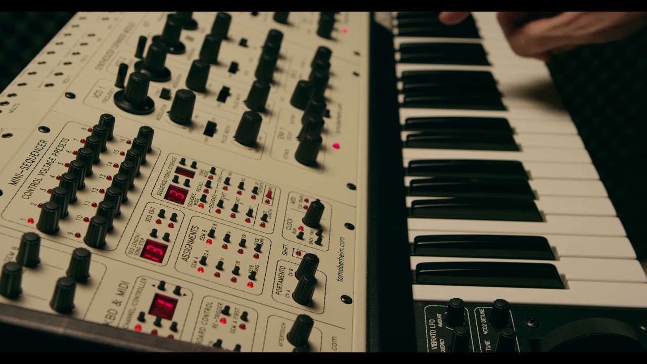Oberheim Two Voice Pro