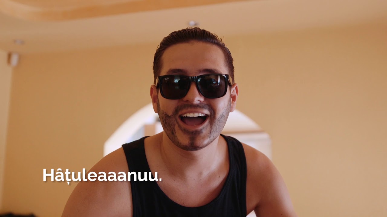 DORIAN POPA DAILY VLOG ( Parodie)