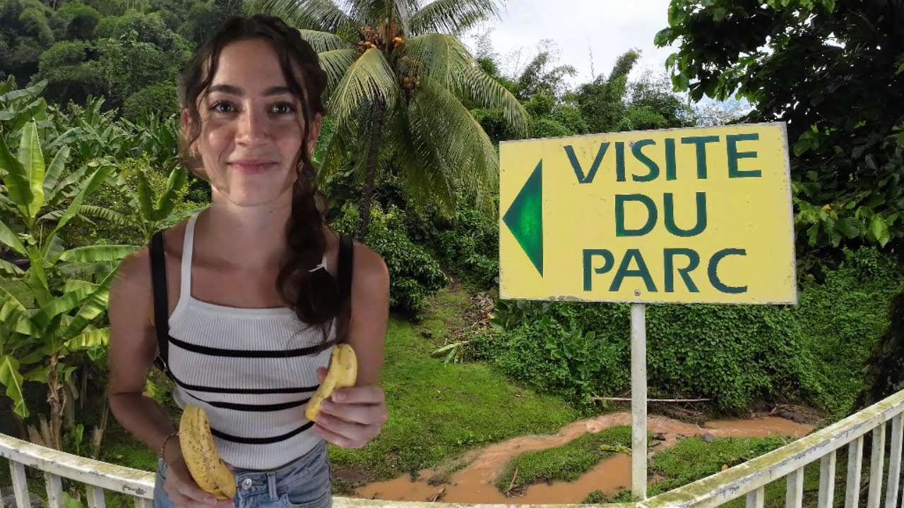 Musée De La Banane, Dégustation et FAQ - Martinique