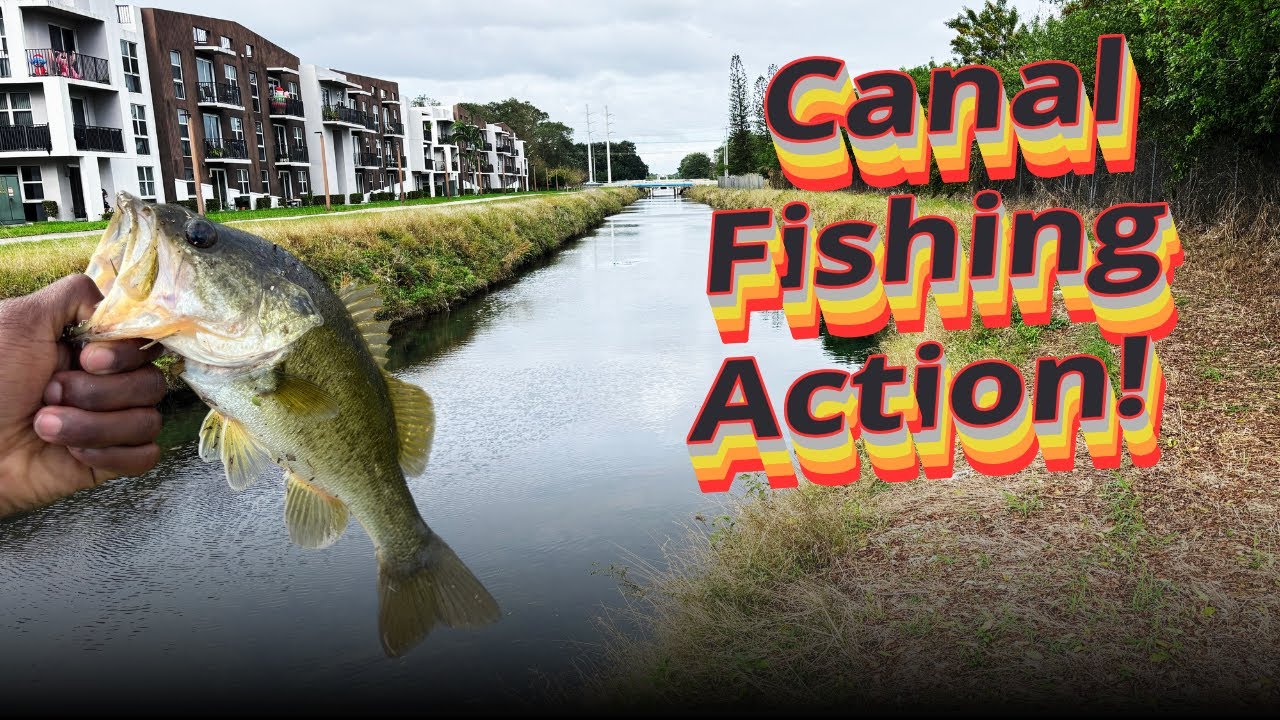 Roadside Canal Fishing South Florida!