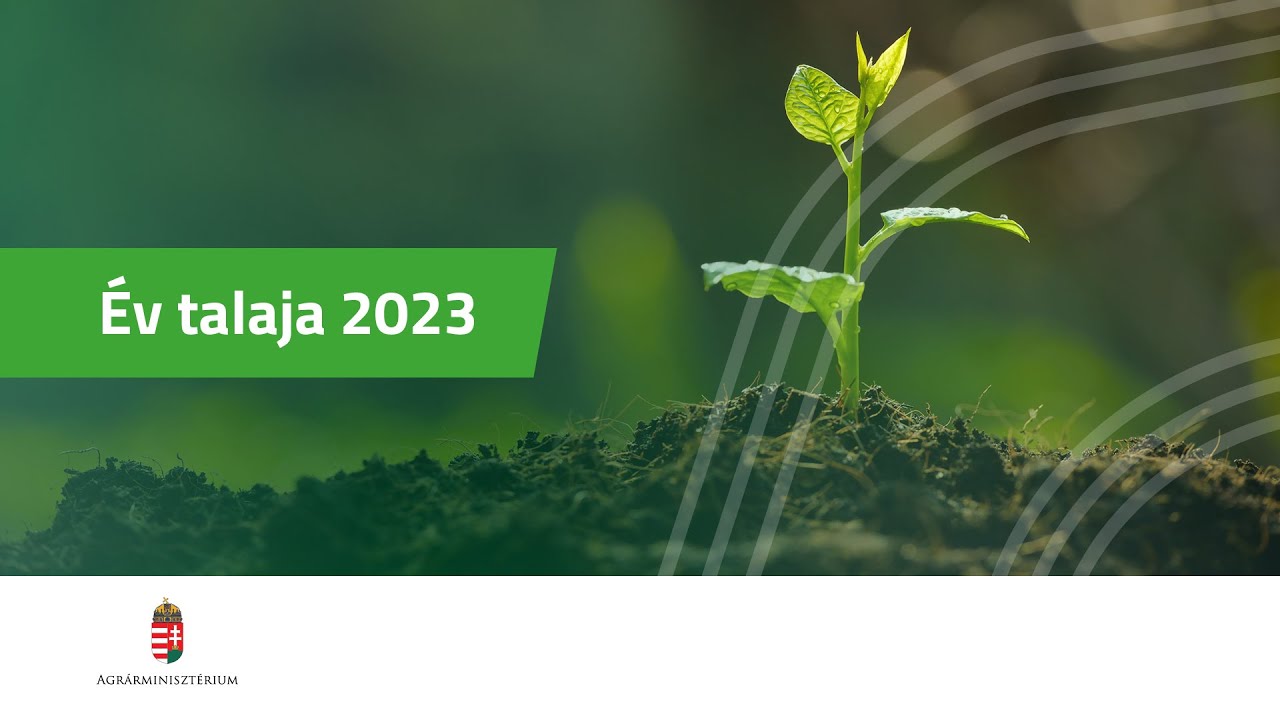 Év talaja 2023
