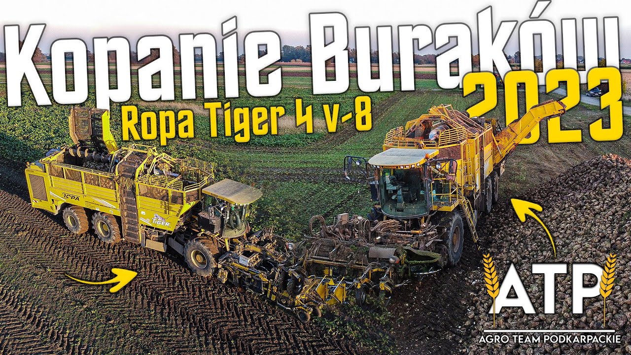 🍂Kopanie Burak&oacute;w 2023🔥 Ropa Tiger 4 v-8 🔥Firma Wityk🍂