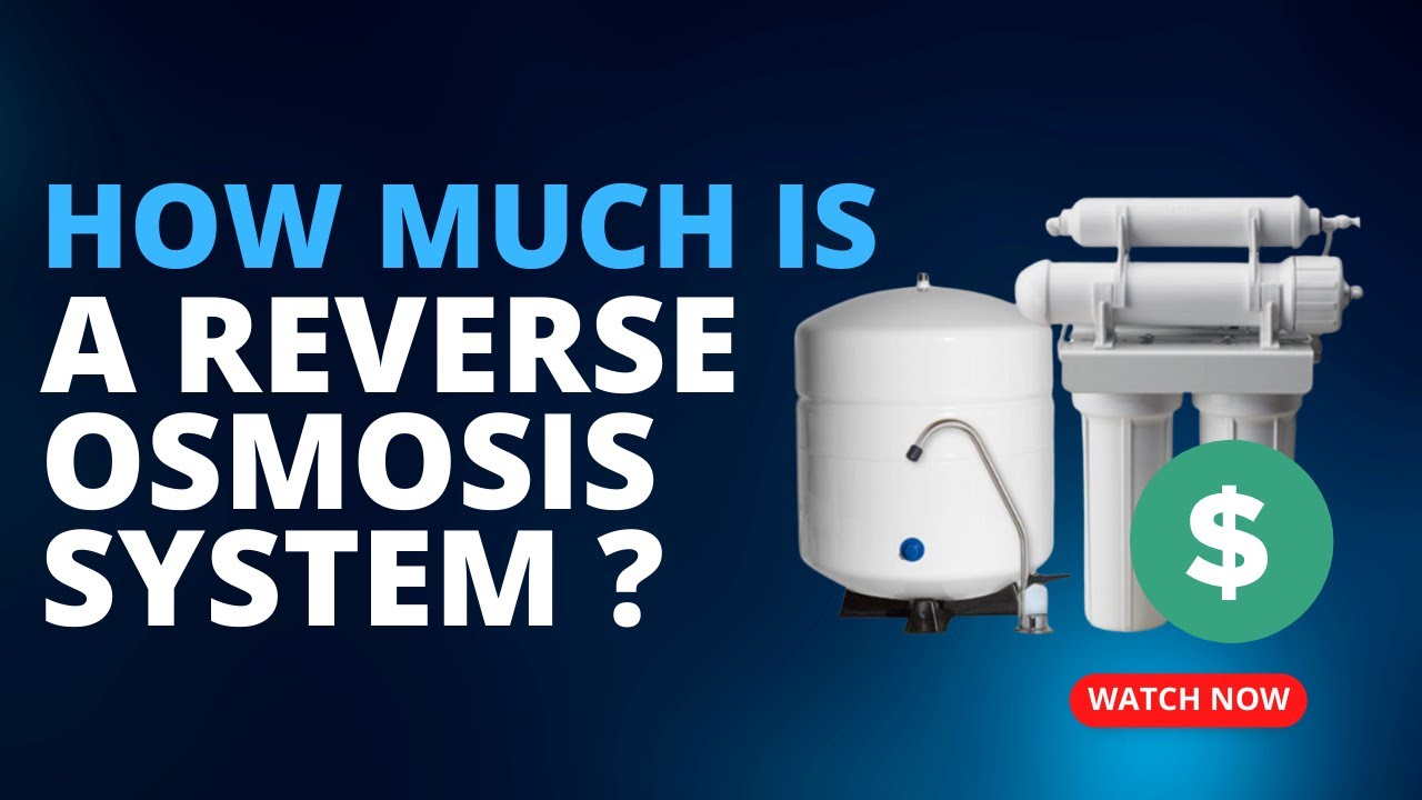 How much is a Reverse Osmosis Water filtration system?