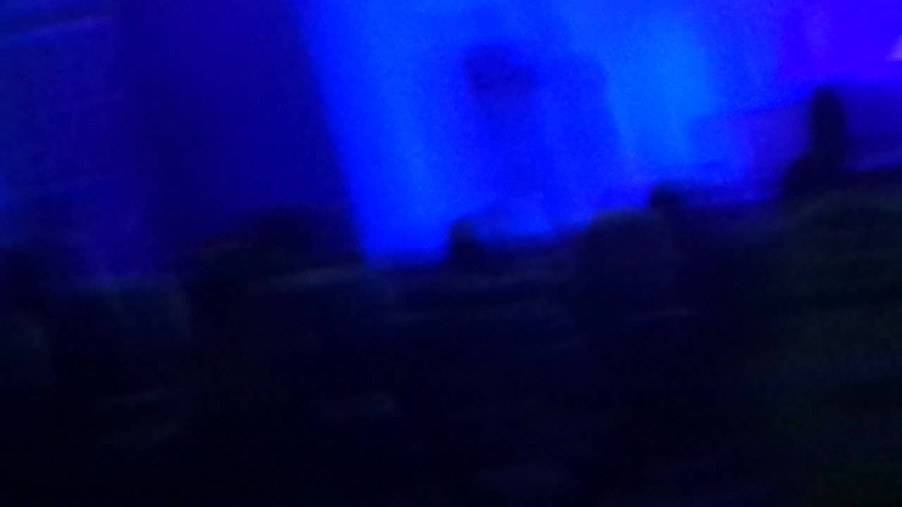 koncert w Wodzisławiu   Feel Poczuj to